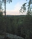 Metsämaisema Jääskelän Sammalistonkalliolta.